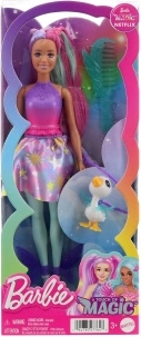 Barbie și atingerea magiei prietena – Rocki