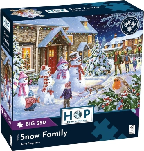 Execuție de calitate House of Puzzles