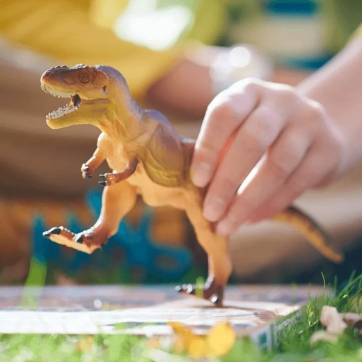 Realitate augmentată cu aplicația Dino Dana