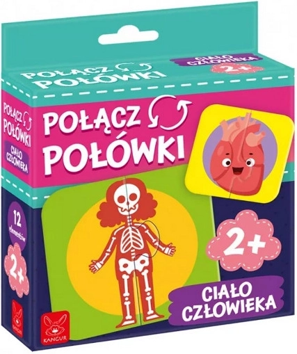 Potrivește jumătățile – puzzle educativ despre corpul uman