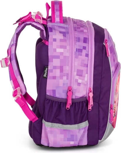 Organizare internă inteligentă și fund rezistent