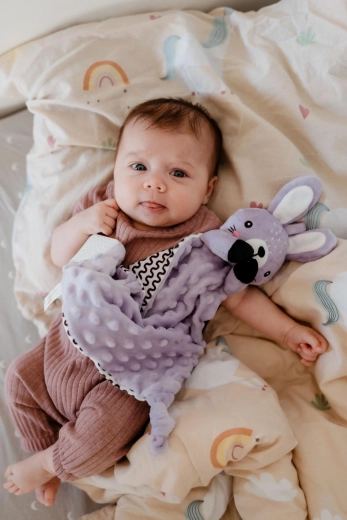 Minky liniștitor cu buline 3D