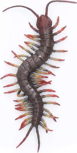 Miriapod gigantic din cauciuc, 23 cm