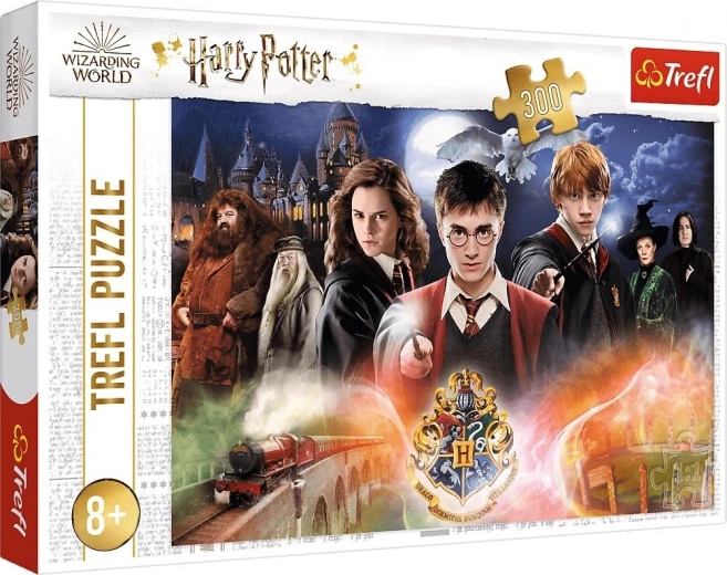 Puzzle HARRY POTTER – 300 de piese