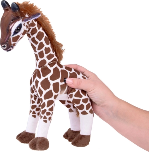 Stabilă pentru joacă și decor