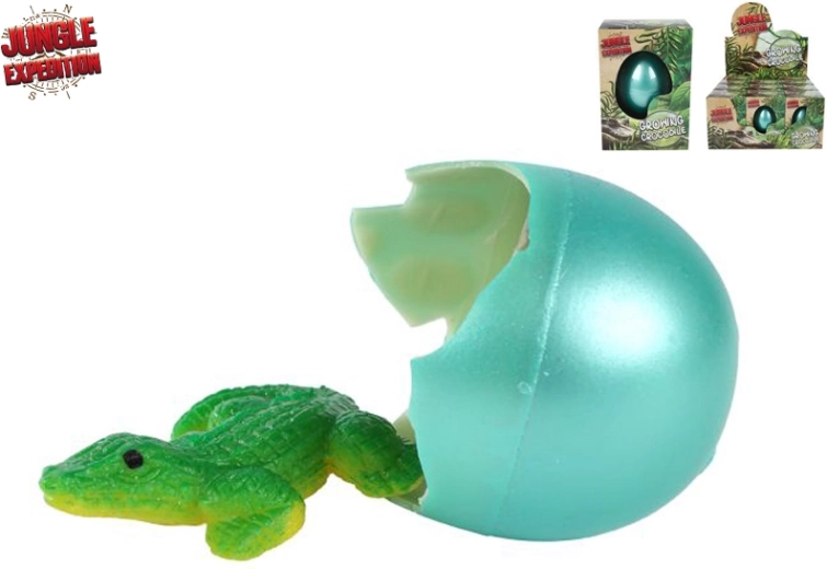 Jungle Expedition crocodil care eclozează și crește – ou pentru apă