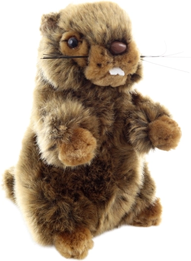 Sigur încă de la naștere