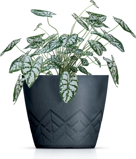 Efect de beton stilat cu relief