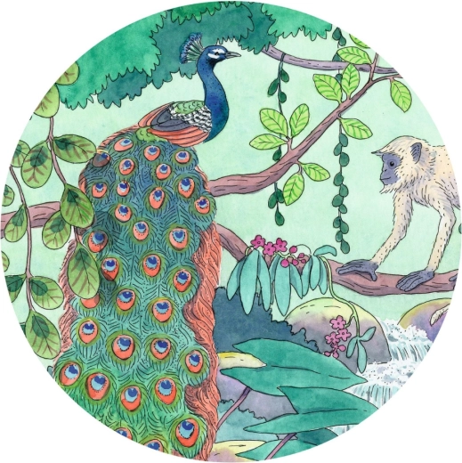 Ilustrație vibrantă, plină de culori