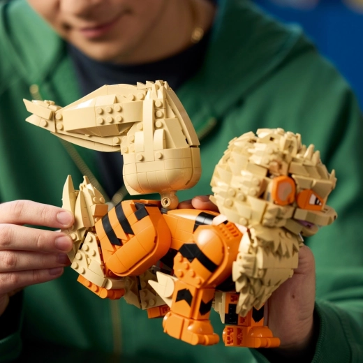 Construcție cu aplicația LEGO Builder