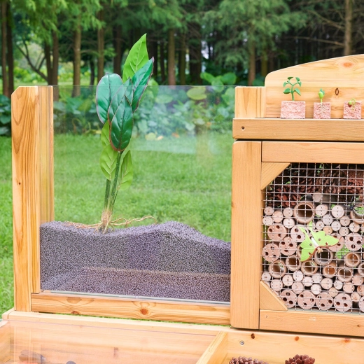 Panou pentru rădăcini: urmăriți creșterea plantelor în timp real