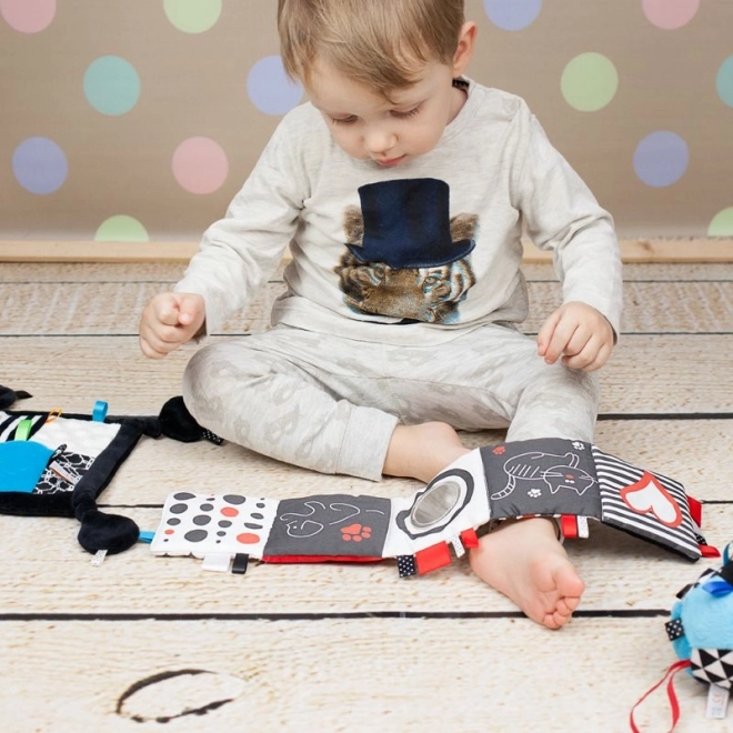 Design moale și sigur