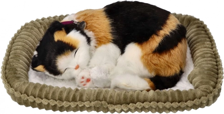 Pisicuță tricoloră care respiră pe culcuș