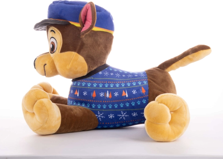 Aspect autentic Chase