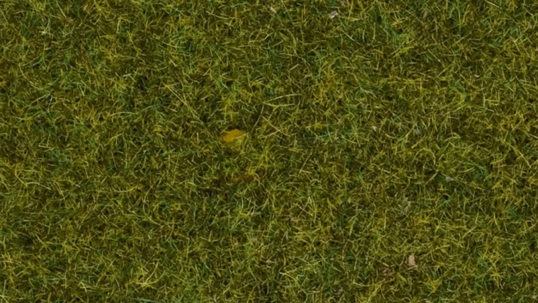 Iarbă statică Pajiște 4 mm