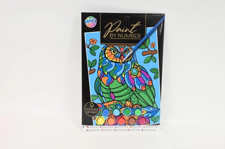 Pictură pe numere A4 cu vopsele – bufniță colorată