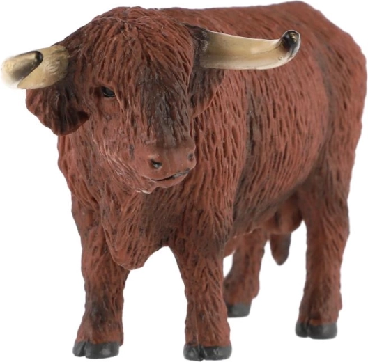 Coarne distinctive caracteristice