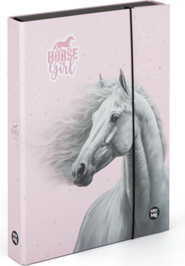 Cutie pentru caiete A4 Jumbo Cal Romantic