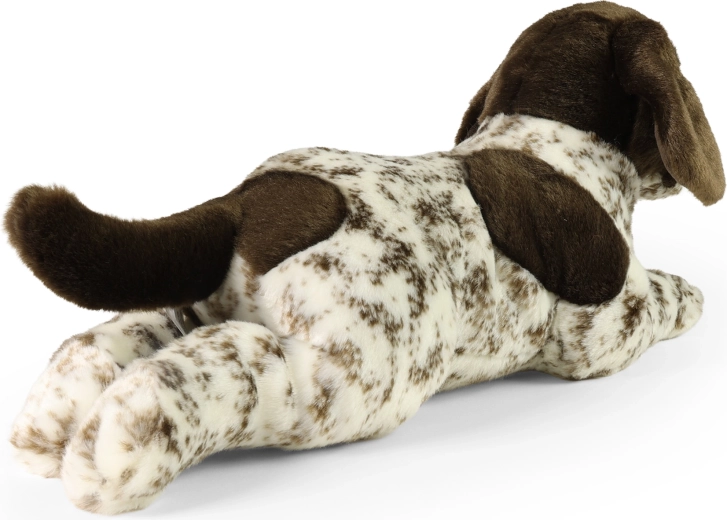 Sigur încă de la naștere