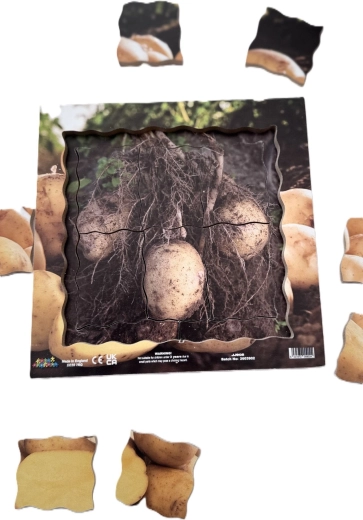 Puzzle din lemn într-o ramă