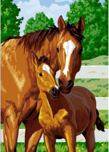 Tablou de pictat pe numere în ramă 40 × 50 cm – mânz drăgălaș