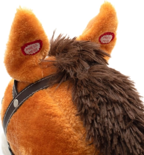 Urechi interactive cu sunete și melodie