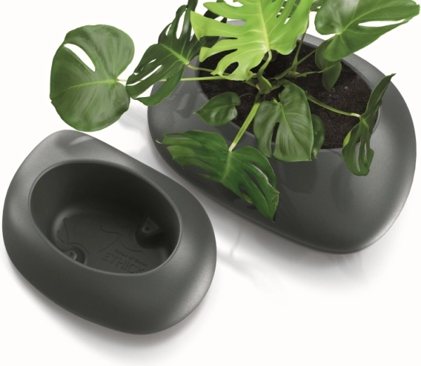 Rezistență la radiații UV și îngheț