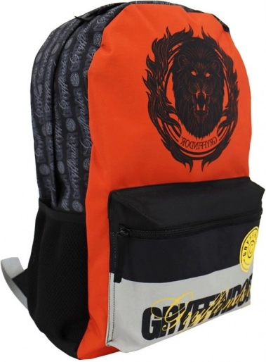 Rucsac Harry Potter cu glugă