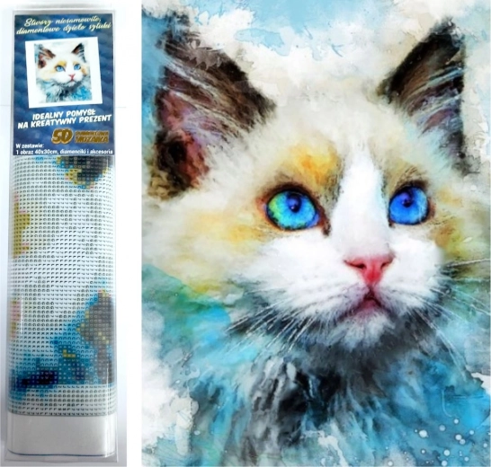 Pictură cu diamante Privire albastră 30x40 cm