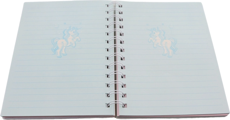 80 de file liniate în două culori