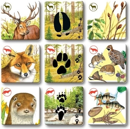 Cartonașe rezistente pentru jocuri frecvente