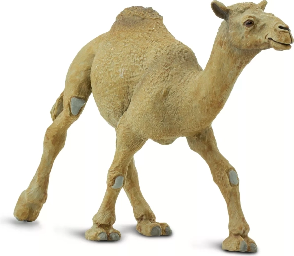 Safari Ltd. figurină cămilă cu o cocoașă - 1 bucată