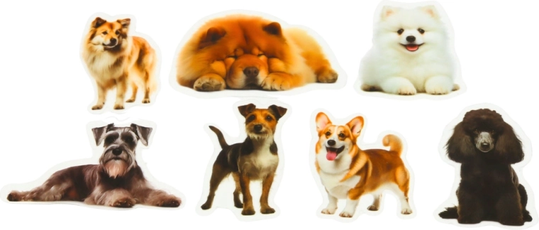 Fundal transparent pentru un aspect curat