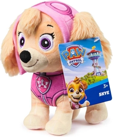Skye – pilotă roz pentru micii aventurieri