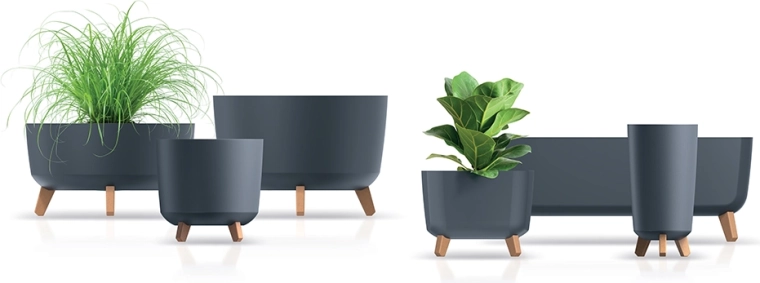 Condiții mai bune pentru rădăcini