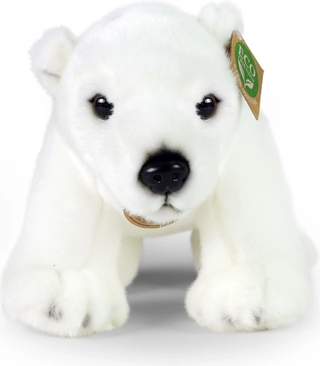 Catifelare de care te îndrăgostești