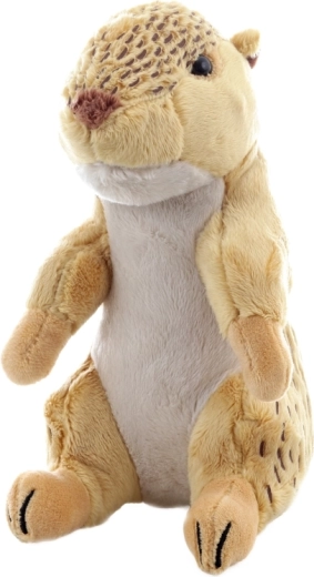 Aspect realist și poziție stabilă