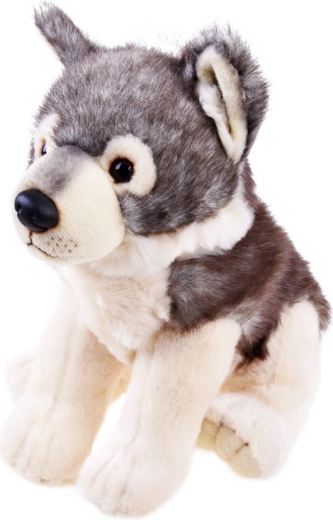 Aspect realist care stimulează imaginația