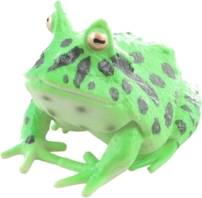 Educativă și distractivă