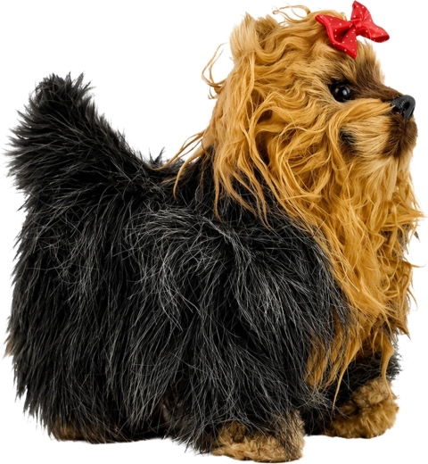 Aspect drăgălaș de terrier Yorkshire