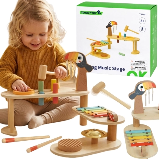 Tooky Toy măsuță muzicală educativă tucan