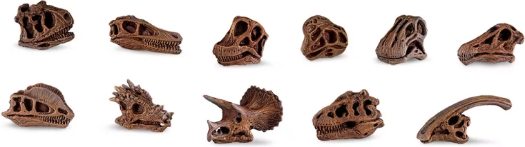 Safari Ltd. cranii de dinozauri – set de mini replici