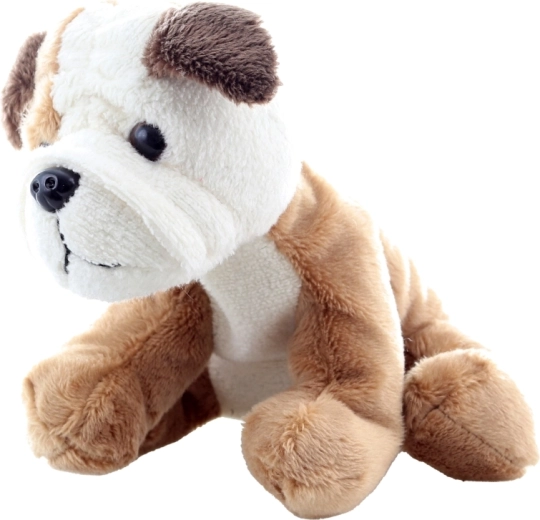 Sigur pentru cei mai mici (0+)