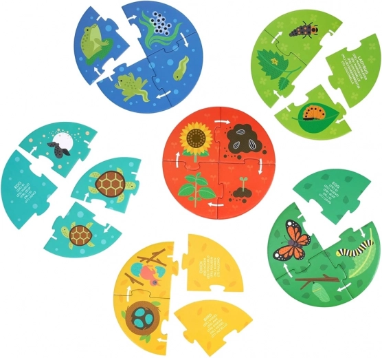 Petit Collage Puzzle Descoperitorul Ciclului Vieții