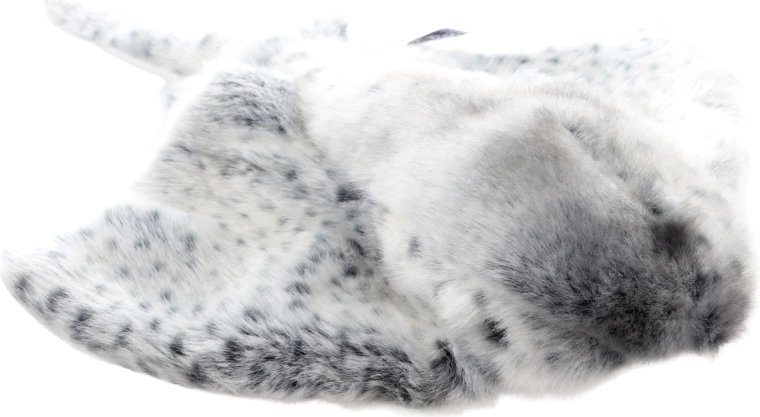 Aspect stilat pătat