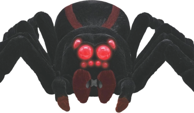 Aspect realist și ochi luminoși