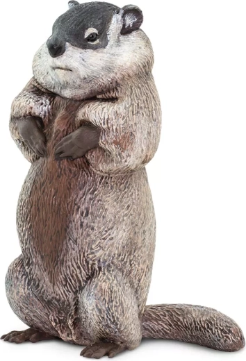 Safari Ltd. figurină marmotă - 1 bucată