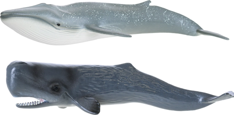 Detalii realiste pentru un joc autentic