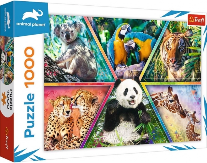 Puzzle 1000 piese – regatul animalelor ANIMAL PLANET
