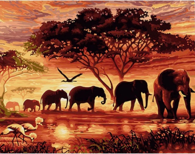 Norimpex pictură pe numere Turmă de elefanți la apus 40 × 50 cm